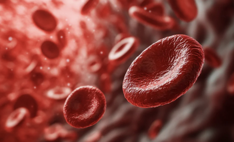 Kebiasaan Harian yang Berperan dalam Menjaga Keseimbangan Gula Tubuh